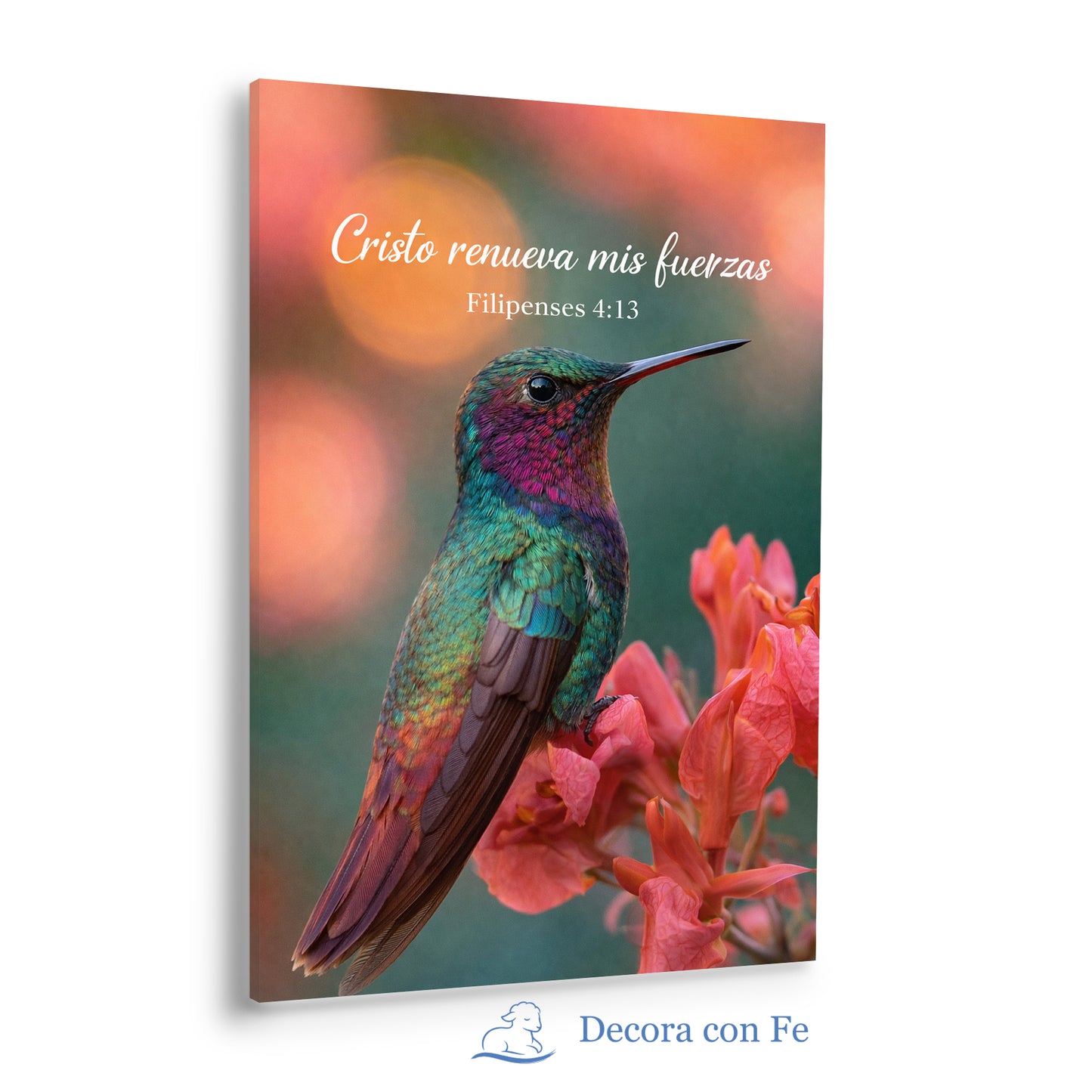 Colibrí de Fe - Cristo Renueva Mis Fuerzas