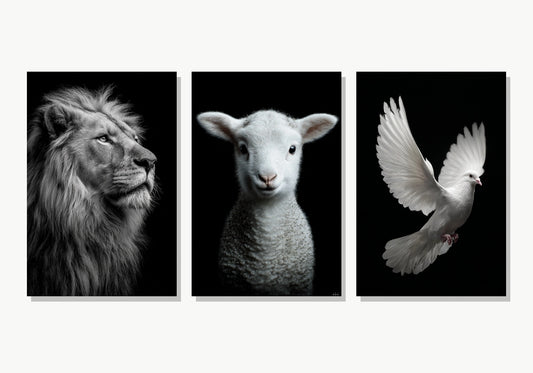 Divina Trinidad - Set de 3 Cuadros Cristianos - Panel 1 Variante 1 · Panel 2 Variante 2 · Panel 3 Variante 4